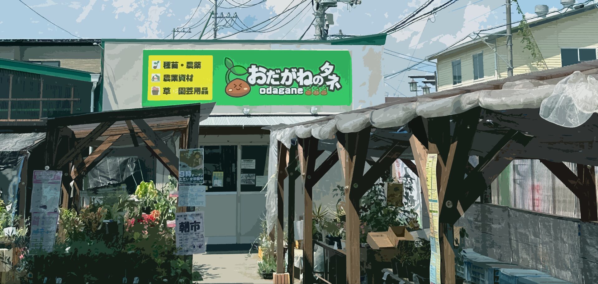 おだがねのタネ